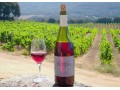 Détails : Domaine de Pietrella